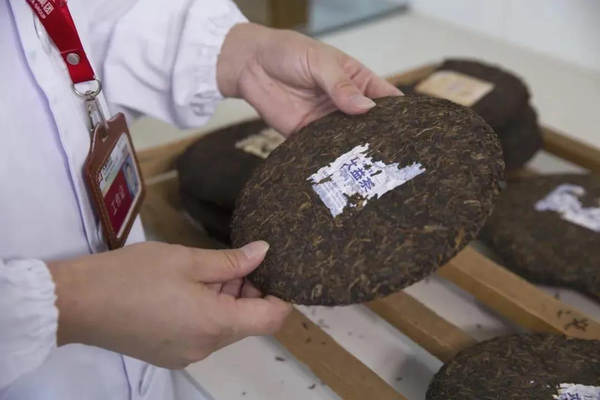 关于大益茶市与高端市场的结合——普洱茶的下一站(上)的信息(2)