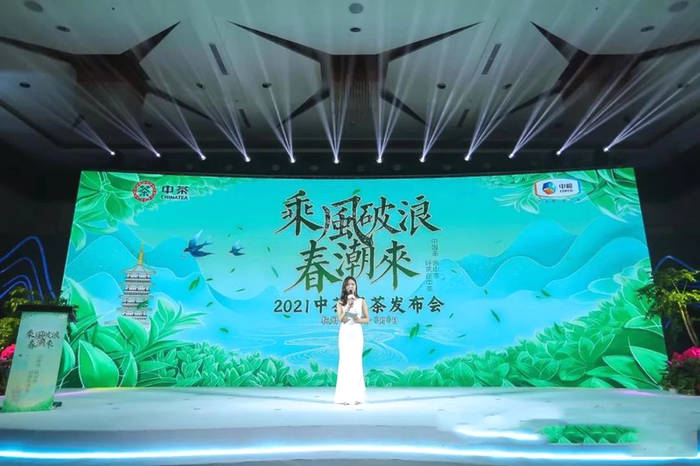 有关于紫阳富硒茶精彩亮相2021中茶绿茶发布会的资讯