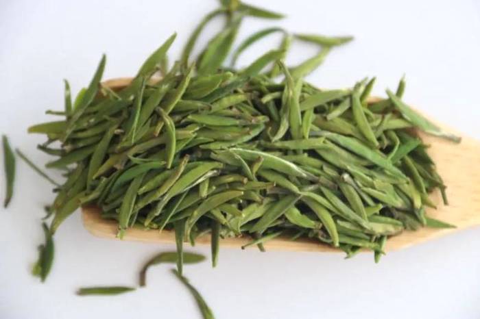 有关于张天福选址的茶场，诞生西湖龙井的贵州“私生子”的热门资讯(1)