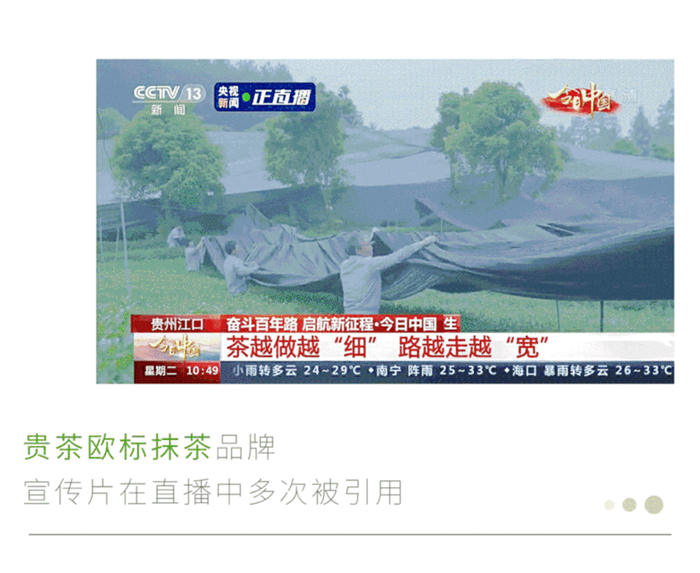 关于被央视新闻点赞的贵州抹茶,把中国抹茶带给世界的热门资讯(4)