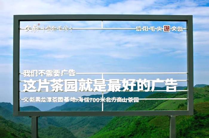 有关于每一片文新茶叶,都有属于自己的生态茶园的热门资讯(10)