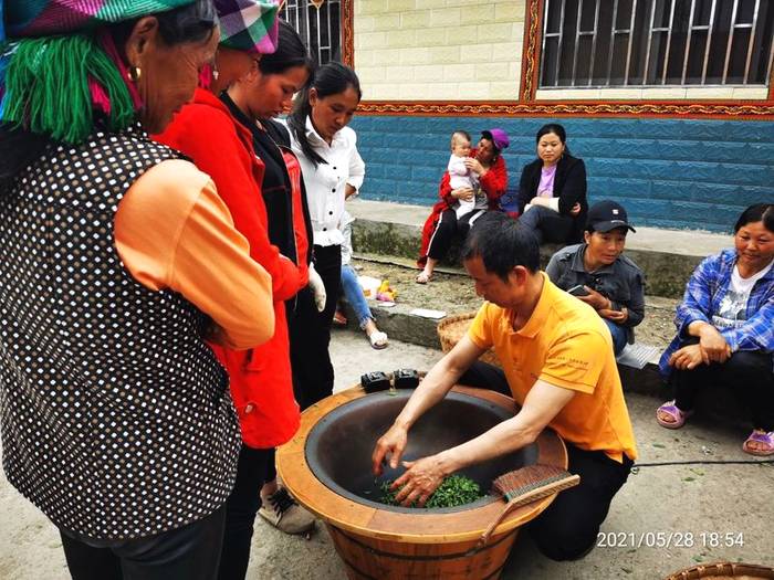 有关于蒙山茶传统制作技艺非遗传承人向世全 培训雅安市荥经县专项能力名优绿茶加工培训班学员的最新信息(2)