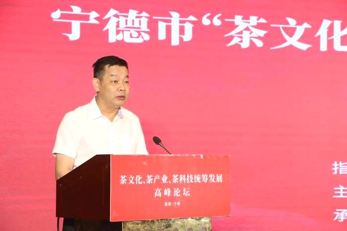 关于四大业内顶级专家,首次聚首宁德话“三茶”的信息(1)