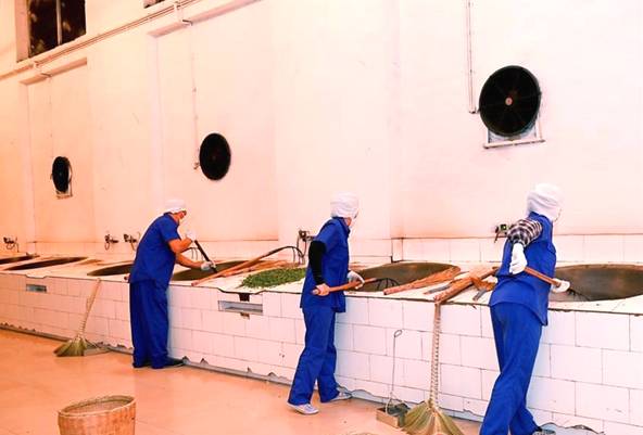 关于从茶园到茶杯 区块链助力云南茶企开拓新市场的资讯(1)