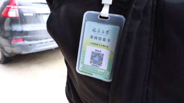 关于福鼎白茶大数据溯源平台正式运行，听听茶农茶企都是怎么说！的热门新闻(8)