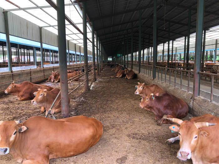 有关于凭啥拿下多项全省第一?黔北小县是这样实现“逆袭”的的最新消息(2)