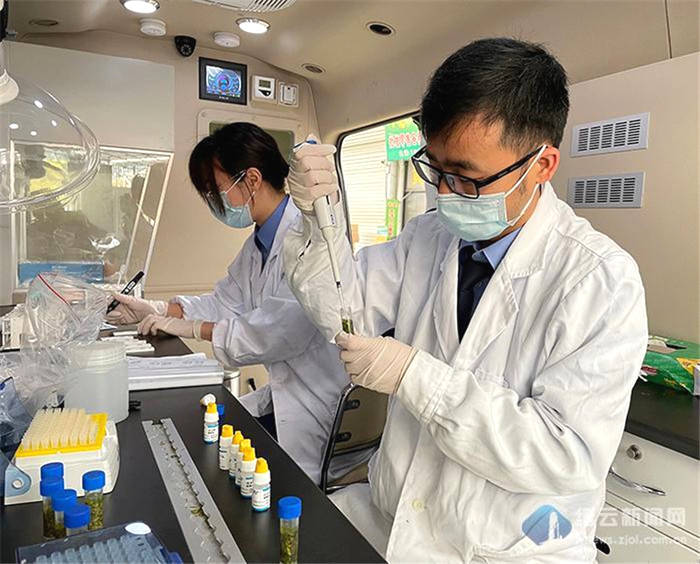 关于浙江缙云：春茶集中上市正当季 监管护周全的最新信息