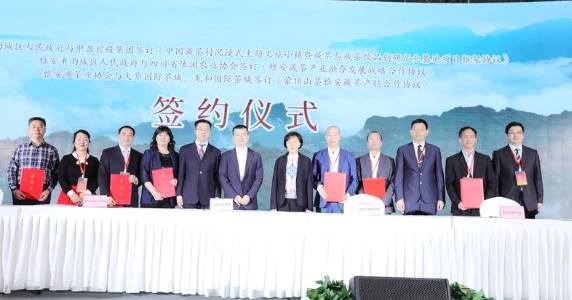 关于蒙顶山·给世界一杯好茶《蒙顶山茶》推介会隆重举行的消息(11)