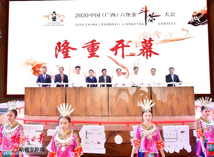 关于梧州市构建全产业链现代茶产业体系 推动六堡茶产业高质量发展的新闻(4)