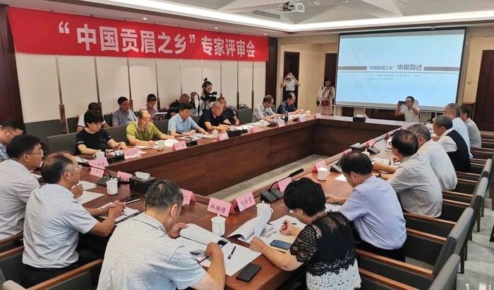 关于一样的路，不一样的风景——回首2020的福鼎白茶的信息(13)