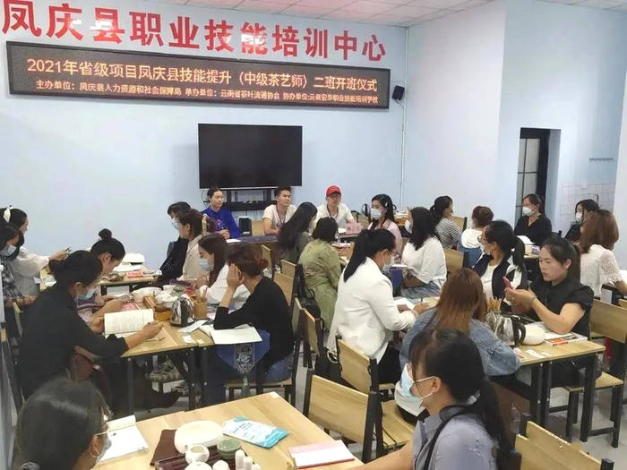 有关于认真落实“2021中国(武夷)茶产业统筹发展”重要指示精神,攀登云茶产业新高峰的热门资讯(5)