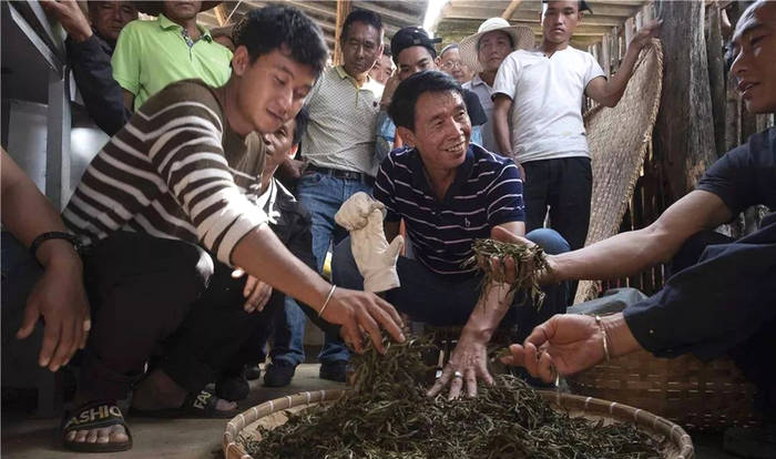 关于茶香暖和村！《人民日报》报道西双版纳这个村靠茶致富的最新信息(4)
