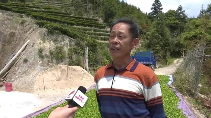 有关于成立产业联合体,漳州长泰县抱团发展茶产业的热门消息(8)