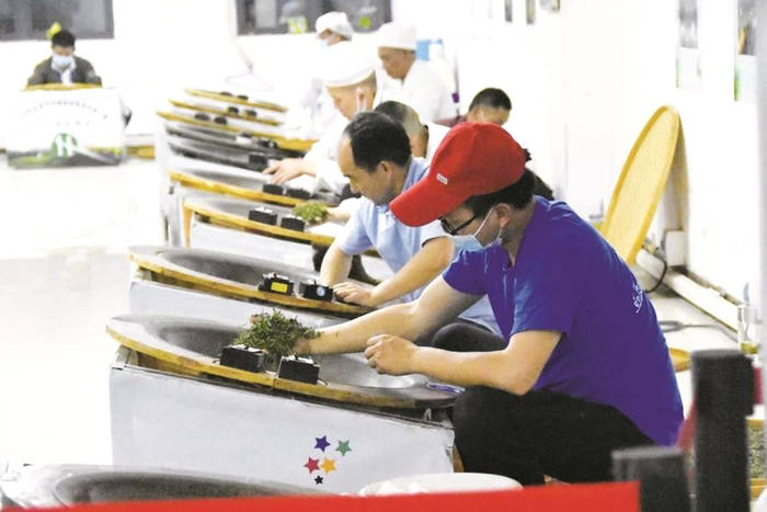 关于 5名制茶师获“宜昌毛尖”制茶大师称号的最新资讯
