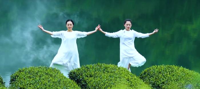 关于“每款凤冈锌硒茶,都是好孩子”——县委书记心里的凤冈茶的热门新闻(7)