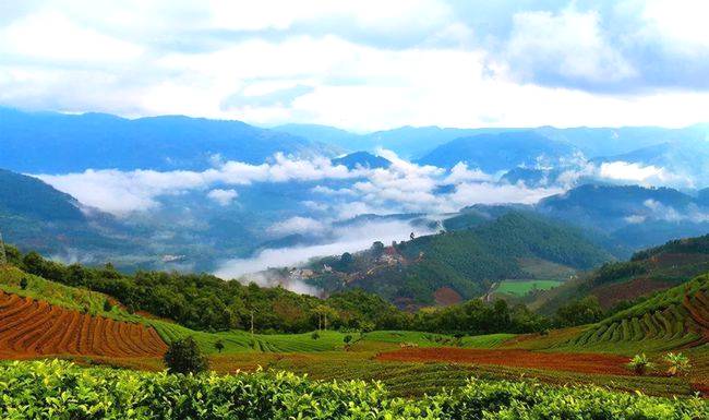 有关于普洱：唯一以茶命名的城市，竟还是咖啡之都的热门资讯(6)
