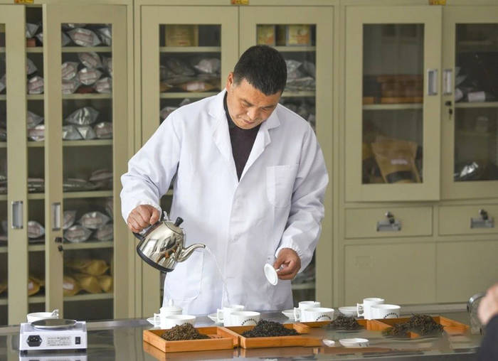 有关于泡“好茶”到“泡好”茶——技术创新助“利川红”高质量发展的资讯(1)