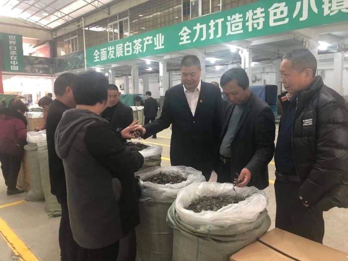 有关于福鼎白茶大数据溯源平台正式运行!福鼎农信全力投入!的新闻(4)