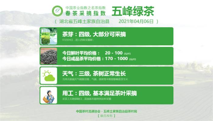 关于太平猴魁采摘其到来！洞庭山碧螺春、湄潭翠芽、黄山毛峰进入五级采摘期的新闻(7)