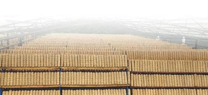 关于安化黑茶开启新征程，刘仲华院士工作站隆重揭牌的消息(7)