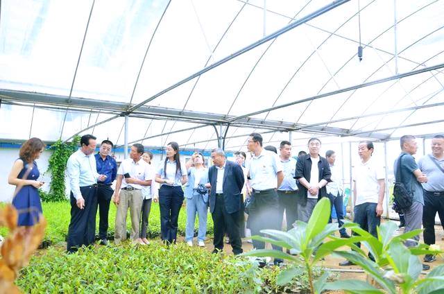 关于临沂市食协茶产业专业委员会赴日照考察交流活动成功举行的热门新闻(1)