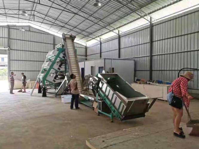 关于“呵护”普洱茶产业健康发展系列报道（二）的热门资讯(5)