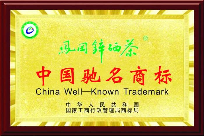 有关于中国富锌富硒有机茶之乡永安镇，“茶旅一体”打造森林康养旅游小镇 的热门资讯(3)