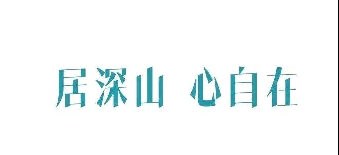 关于国内茶品牌 居深山，心自在——大佛龙井品牌创意解读的最新资讯(6)