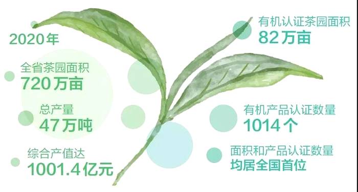 关于云南省政府原副省长陈勋儒先生呼吁茶行同步同调做茶事的热门资讯(6)