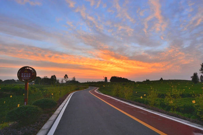 有关于围观2021年度雅安“最美农村公路”——中国至美茶园绿道的最新消息(9)
