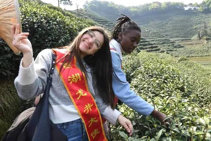 关于“一带一路”留学生西湖龙井研学班走进狮牌的热门资讯(10)