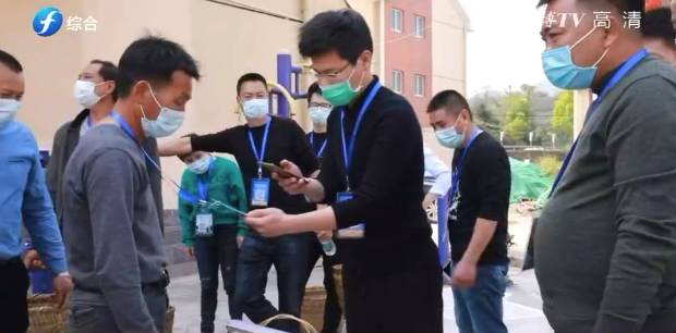 关于一样的路，不一样的风景——回首2020的福鼎白茶的信息(3)