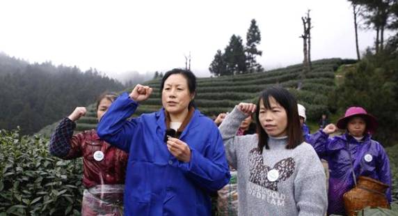 关于贵州黎平315家茶企宣誓：做生态茶、干净茶、放心茶！的信息