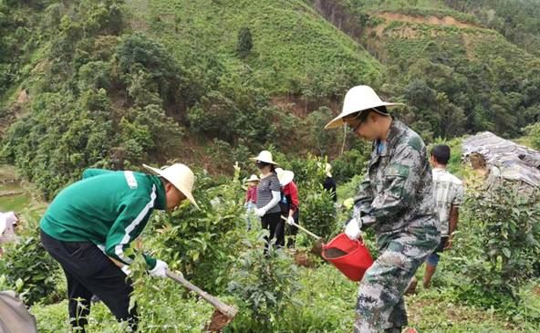 关于“以茶为媒”实施精准扶贫 勐海茶厂助推茶农过上好日子的信息(2)