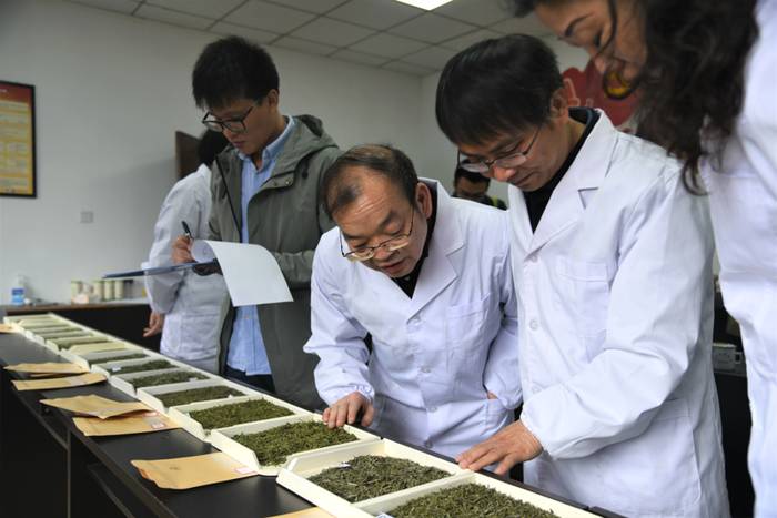 有关于洪雅“碧雅仙”奶白茶被评为“四川名茶”的消息(2)