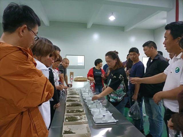 关于理论实践紧密结合，加快茶叶职业技能提升步伐的资讯(12)