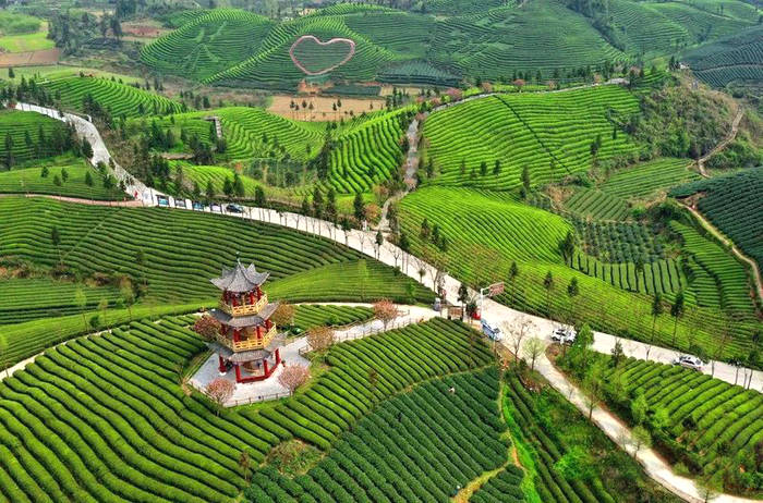 关于“每款凤冈锌硒茶,都是好孩子”——县委书记心里的凤冈茶的热门新闻(1)