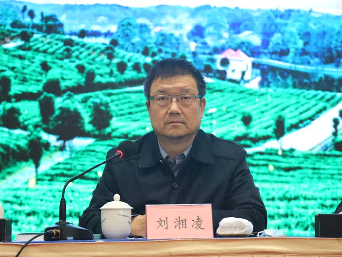 关于推动湘茶高质量发展 助力乡村振兴 湖南省茶叶行业工作会议召开的热门资讯(3)