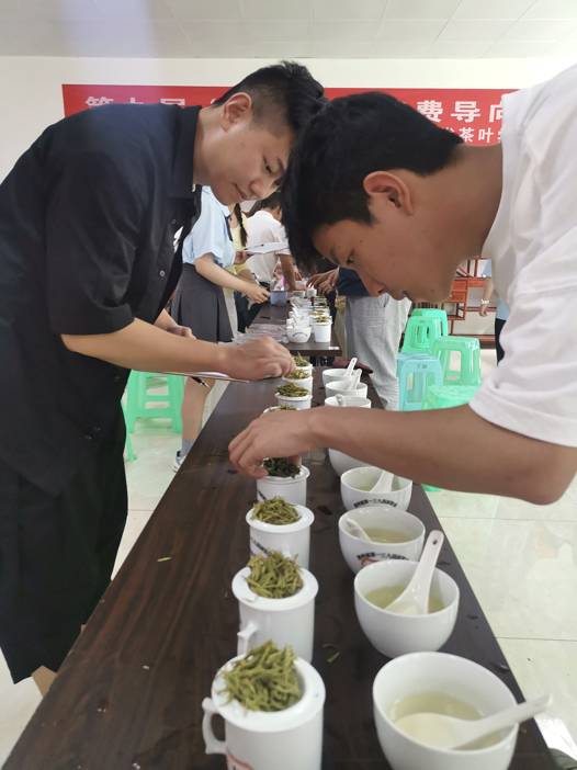 关于“黔茶杯”消费导向评审搭建黔茶交流与宣传平台的最新消息(2)