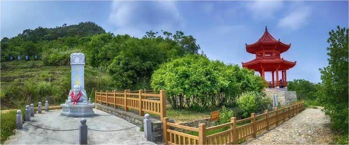 关于《诏安八仙茶》等三项团体标准研讨会在诏安召开的最新消息(3)