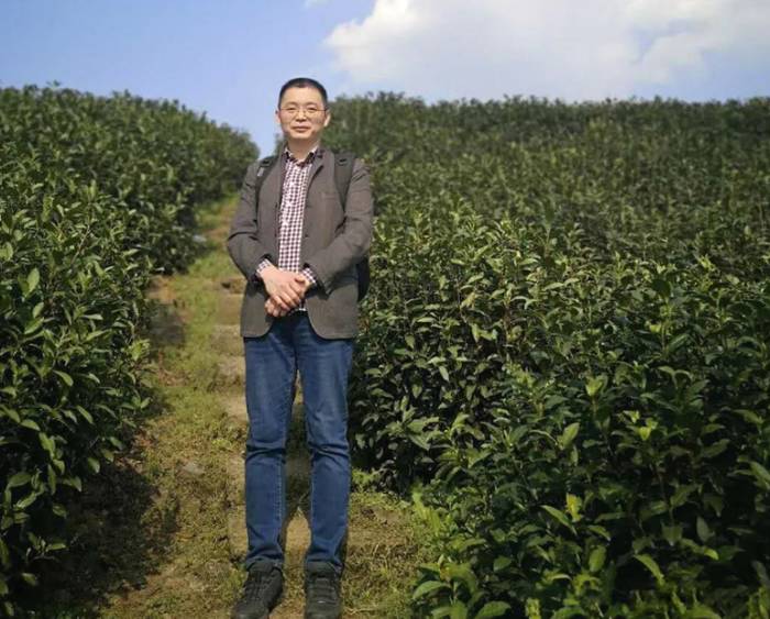 关于一周速读：2020中国茶叶产销报告、茶青价格暴涨、双手采出致富叶的热门资讯(4)