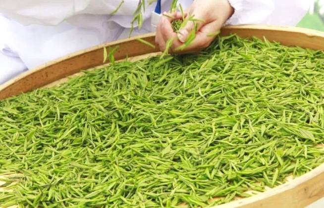 有关于重视打造区域公共品牌 硒水鉴茶大赛助“安康富硒茶”出圈的资讯