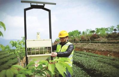 有关于学史力行办实事，解茶农燃眉之急，助安溪茶业振兴的热门信息(1)