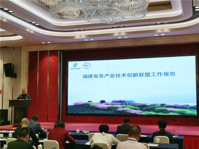 有关于首届茶产业协同创新论坛：“政产学研用”共谋茶产业高质量发展的热门消息(14)