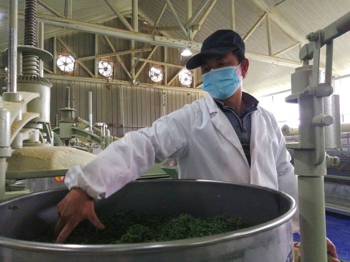 有关于凤冈：抓住东西部协作机遇 助推茶叶闯市场的最新资讯(1)