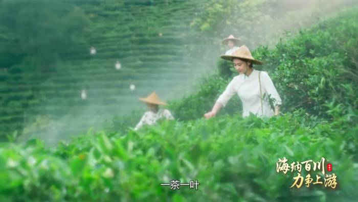 关于为何当初六堡茶能从梧州走向世界？这个视频给你答案的热门信息(4)