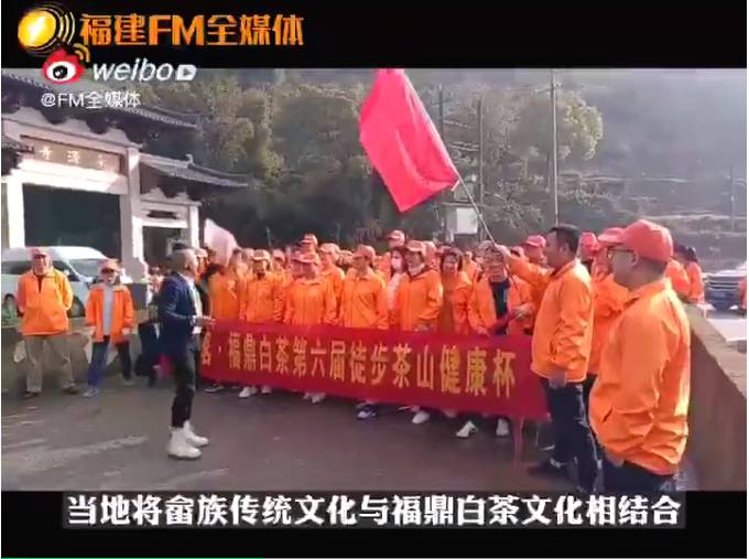 有关于福建FM全媒体记者镜头下的福鼎白茶产业的最新资讯(6)