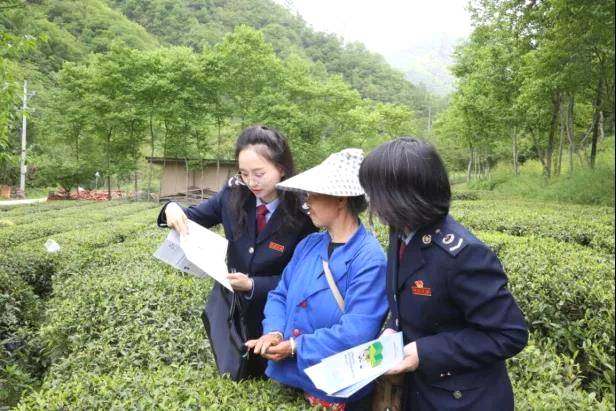 关于把农民的“茶篮子”变成鼓鼓的“钱袋子”的热门新闻(3)