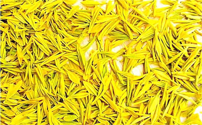 有关于四川广元：旺苍米仓山新茶上市，黄茶每斤卖到8800元！的新闻(9)