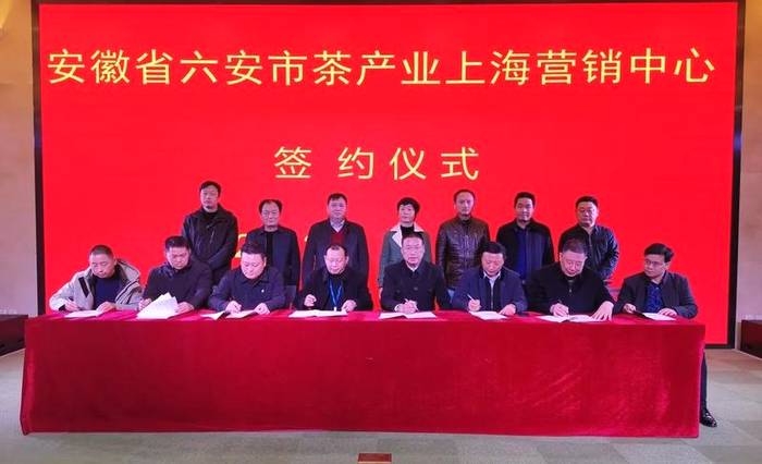 有关于六安茶产业上海营销中心签约仪式成功举行的消息